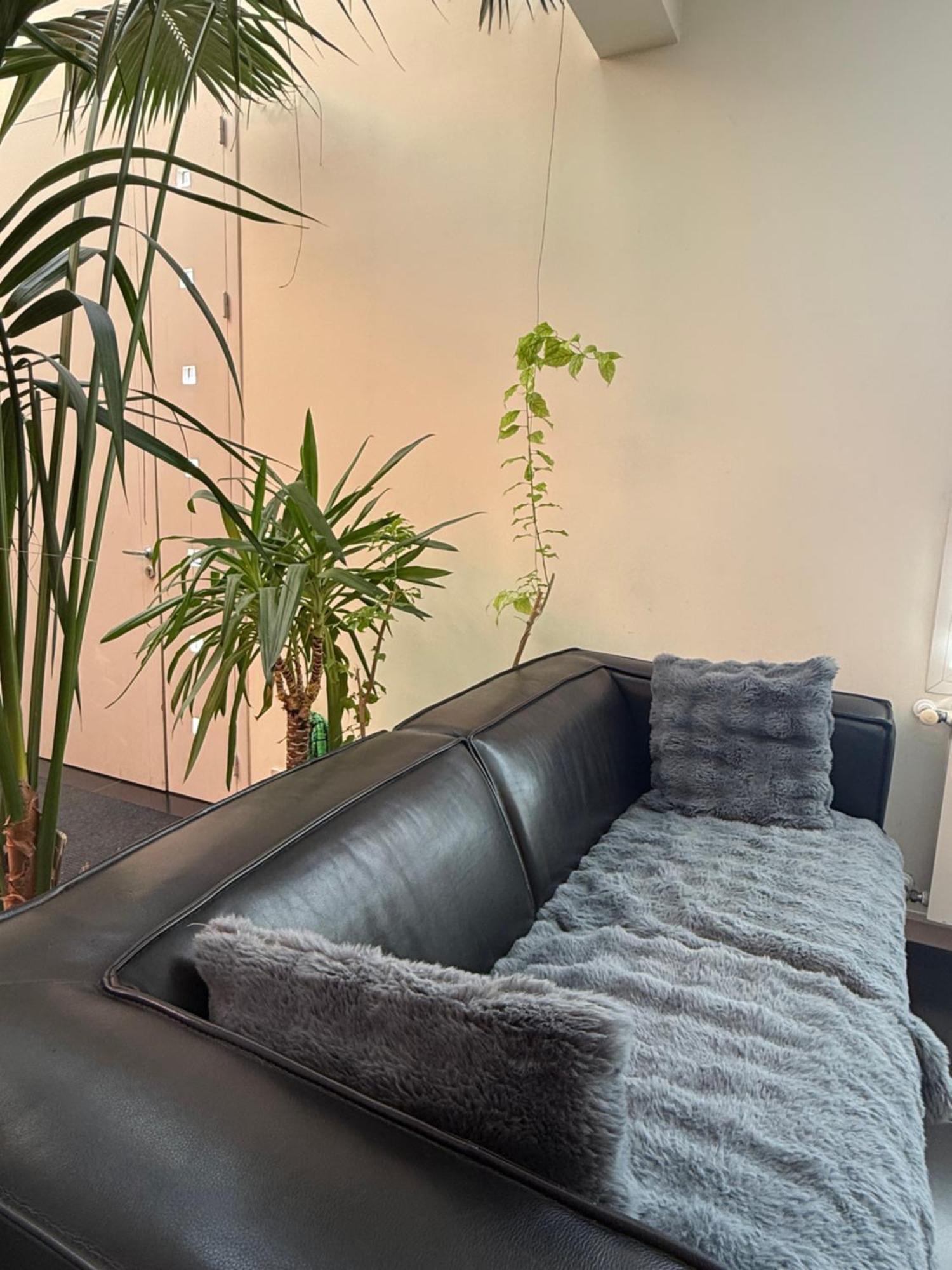 Maison Independante Stylee Climatisee 98M2 Centre בורדו מראה חיצוני תמונה